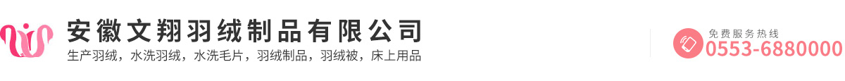 安徽文翔羽绒制品有限公司